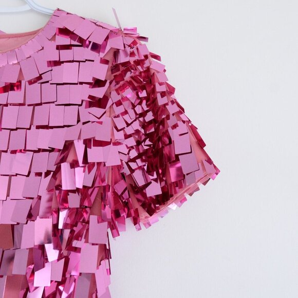 Jonathan Simkhai Tuckernuck Pink Punch Vivienne Embroidered Sequin Mini Dress 4 - Picture 5 of 13